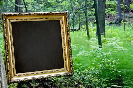 Empty golden vintage frame in nature outdoors, with green forest summer background