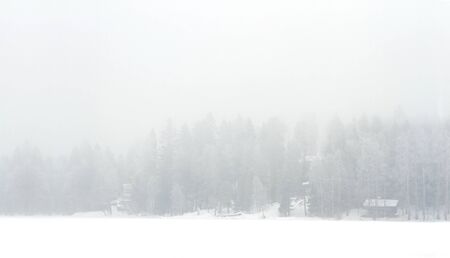 Foggy and snowy white winter landscape of lake shoreの写真素材