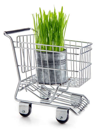 Ecological and green grocery shopping concept - grass growing in a metal tin can, in shopping cartの写真素材