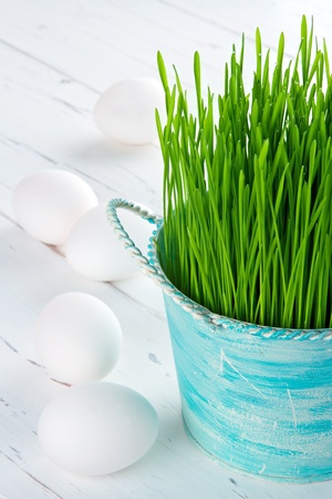 Green grass growing in teal color rustic bowl, white eggs on rustic wooden tableの写真素材