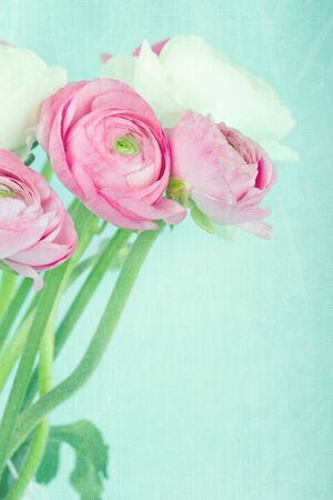 Pastel color romantic flowers on textured light blue backgroundの写真素材