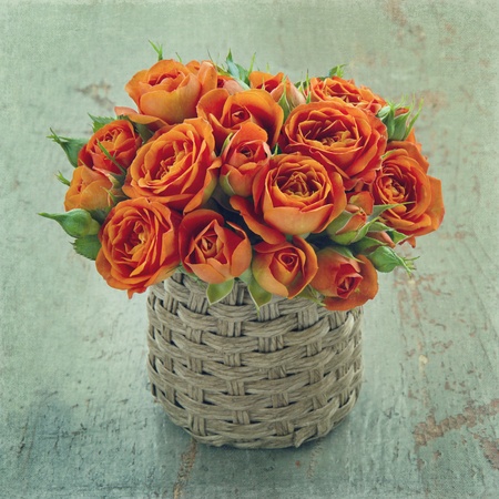Orange roses on green wooden vintage backgroundの写真素材