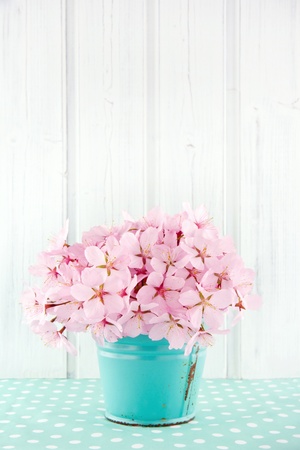 Pink cherry blossom flower bouquet on light blue vintage and white wooden backgroundの写真素材