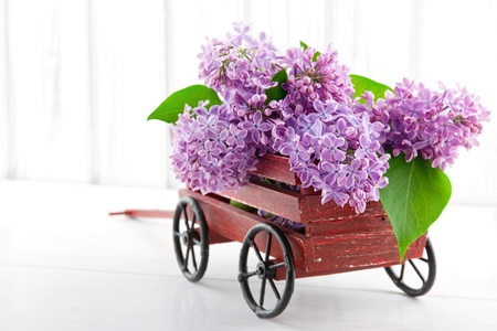 Purple lilac flower bouquet in a decorative wooden carriage on white vintage backgroundの写真素材