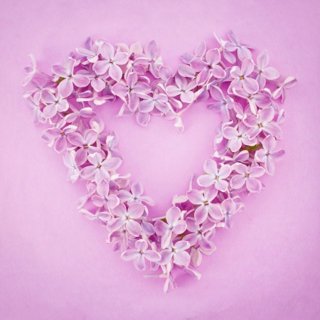 Purple lilac flower heart on textured artistic backgroundの写真素材