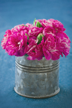 Fuchsia color carnation flowers in a metal can on demin blue backgroundの写真素材