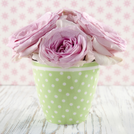 Pink roses in a green polkadot vase on vintage white wooden shabby chic backgroundの写真素材