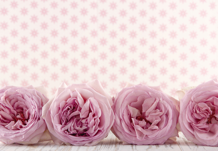 Row of pink roses on wooden background with pink floral wallpaper background for copy spaceの写真素材