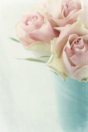 Vintage pink roses on textured light blue backgroundの写真素材
