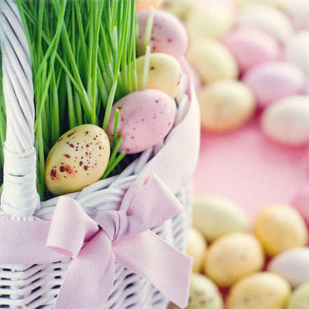 Small spotted easter eggs in a white basket with green fresh grass on pastel color pink background...