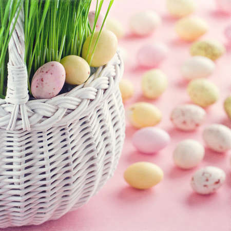 Small spotted easter eggs in a white basket with green fresh grass on pastel color pink background...