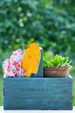 Garden tools in a blue wooden tool box on green garden background - concept for gardeningの写真素材