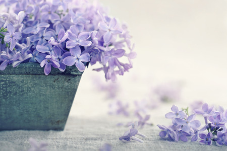 Metal vase with a bouquet of purple lilac spring flowers on vintage textured background Metal vase with a bouquet of purple lilac spring flowers on vintage textured background