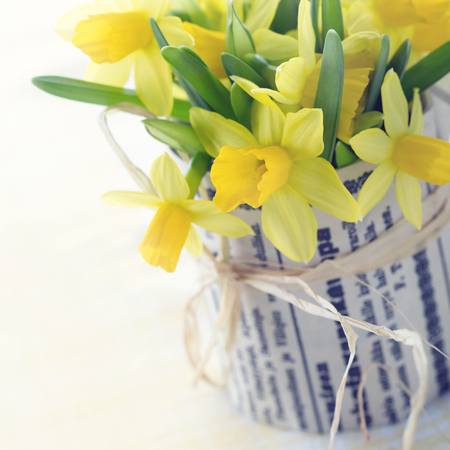 Bouquet of yellow daffodilsの写真素材