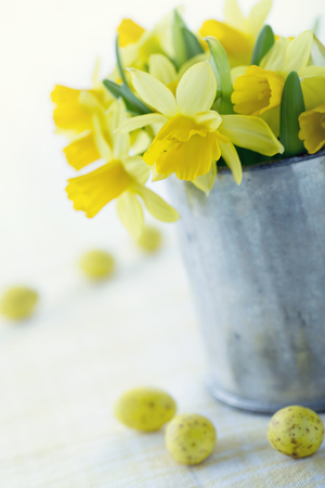 Bouquet of yellow daffodilsの写真素材