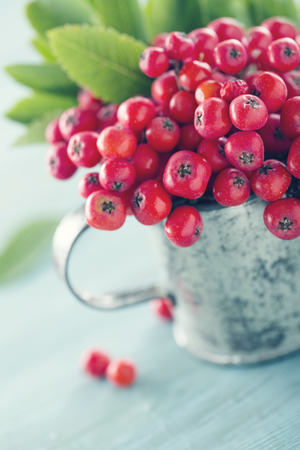Ripe red rowan berries in a metal tin cup on old wooden background with vintage editingの写真素材