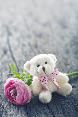 Soft plush teddy bear with a pink ranunculus flower on wooden vintage background for an anniversary or Valentines celebrationの写真素材