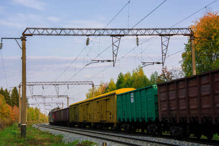 Wagons of freight train on the railway. Autumn trees.
