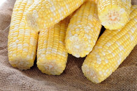 A group organic sweet corn on burlap