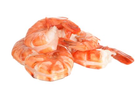 Shrimp Prawn  isolated on a white background の写真素材