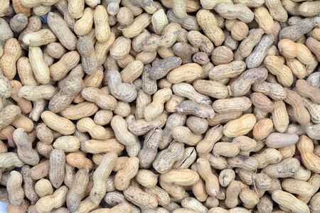 peanut in the shell for background and texture use