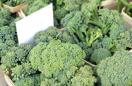 green fresh broccoli at the market place with blank price tagの写真素材