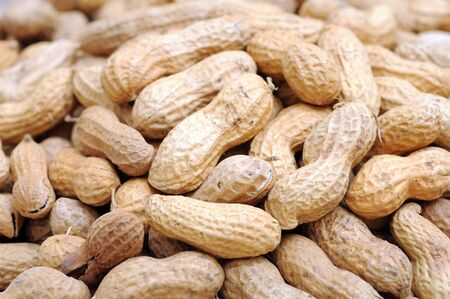 a lot of peanut for background の写真素材