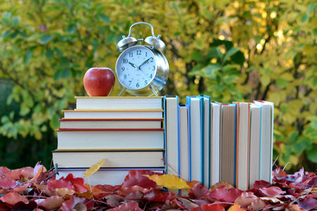 some colorful books in campus in Autumn seasonの写真素材