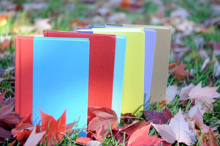 colorful books on full leaves yard in Autumn season