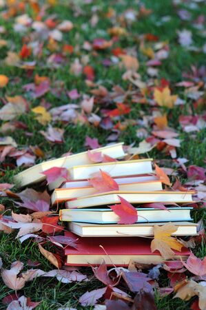 A pile of forgotten books on red leaves in fall seasonの写真素材