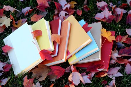 A pile of books on lawn in autumb season