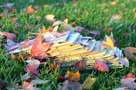 Forgotten old magazine on grass in autumn season