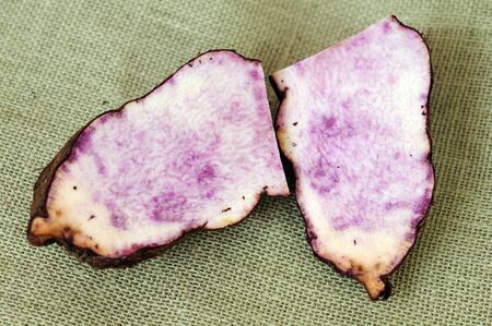 Dioscorea alata Linn on burlapの写真素材