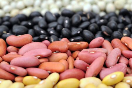 mix beans for background usesの写真素材