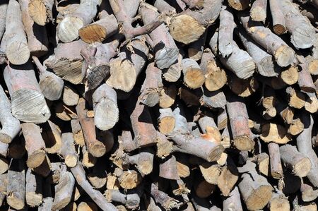 Logs and  portions of a cut down tree for background uses