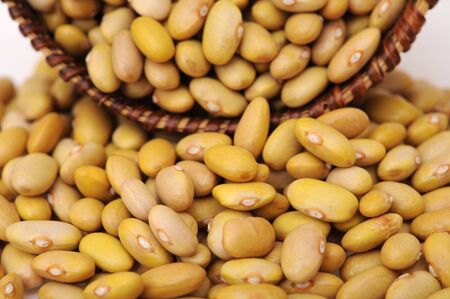 a group of perruano bean on white background
