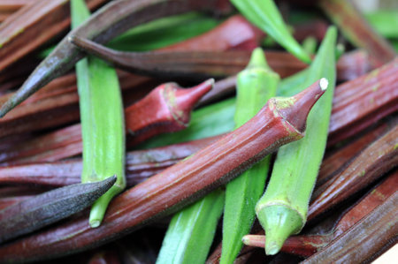 closeup of green and red abelmoschus