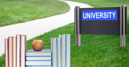 concept of education: book and path to universityの写真素材