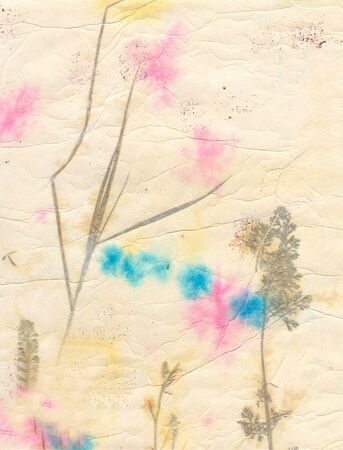 color, dried leaves under paper layers for background usesの写真素材
