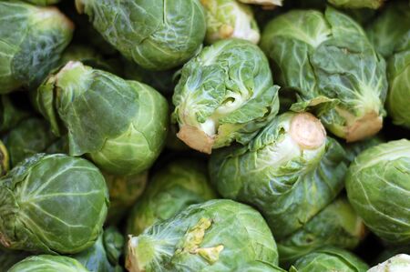 a lot of brussels sprouts  for background usesの写真素材