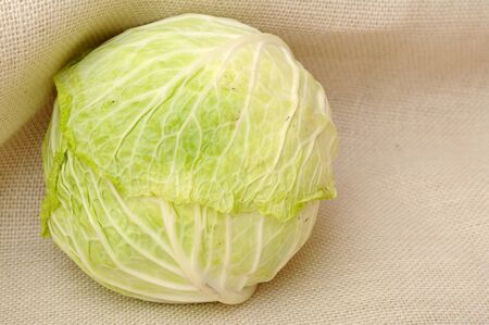 fresh single cabbage on burlapの写真素材