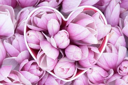 a lot of magnolia flowers in heart shape bowl for background usesの写真素材