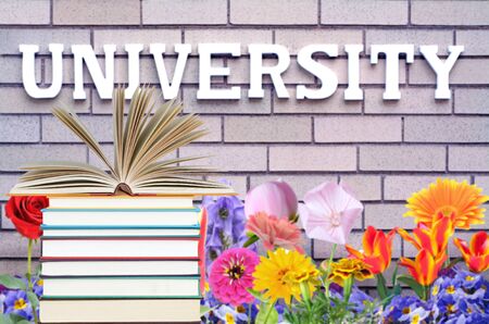 university sign with book for education conceptの写真素材