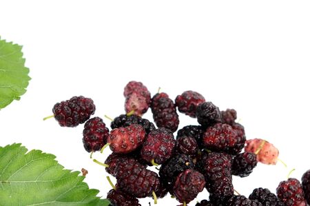 Ripe mulberry berries and leaves isolated on white backgroundの写真素材