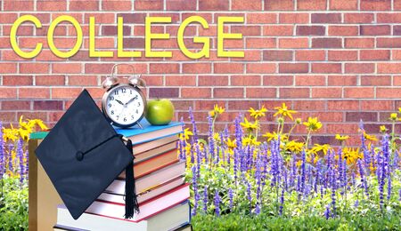 Education concept with book in the front of universityの写真素材