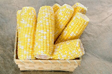 fresh sweet corn display at market place