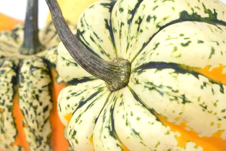 closeup pumpkin  display in the market placeの写真素材
