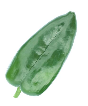 single fresh poblano pepper isolated on white backgroundの写真素材