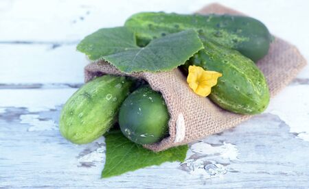 pickel cucumber and flower on the vine  on wooden table の写真素材