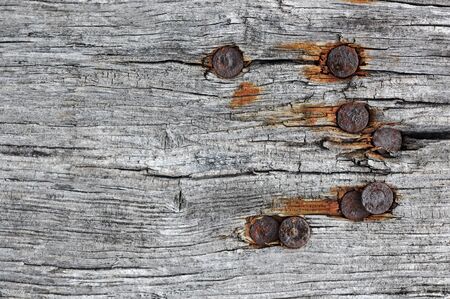 A texture of brown tree bark with old nails 